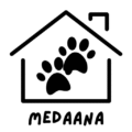 Medaana